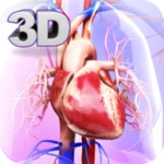 circulatory system anatomy android application logo